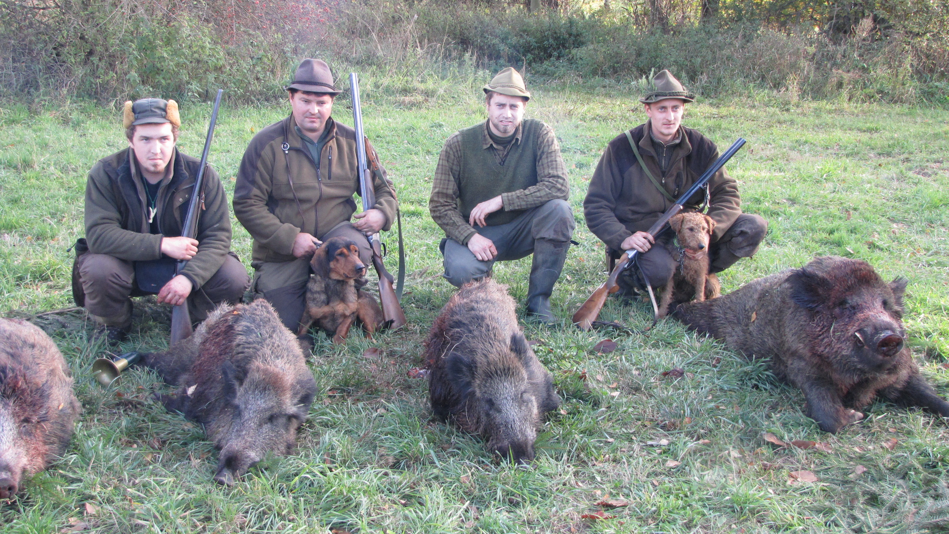 Naháňka u Dana 2010