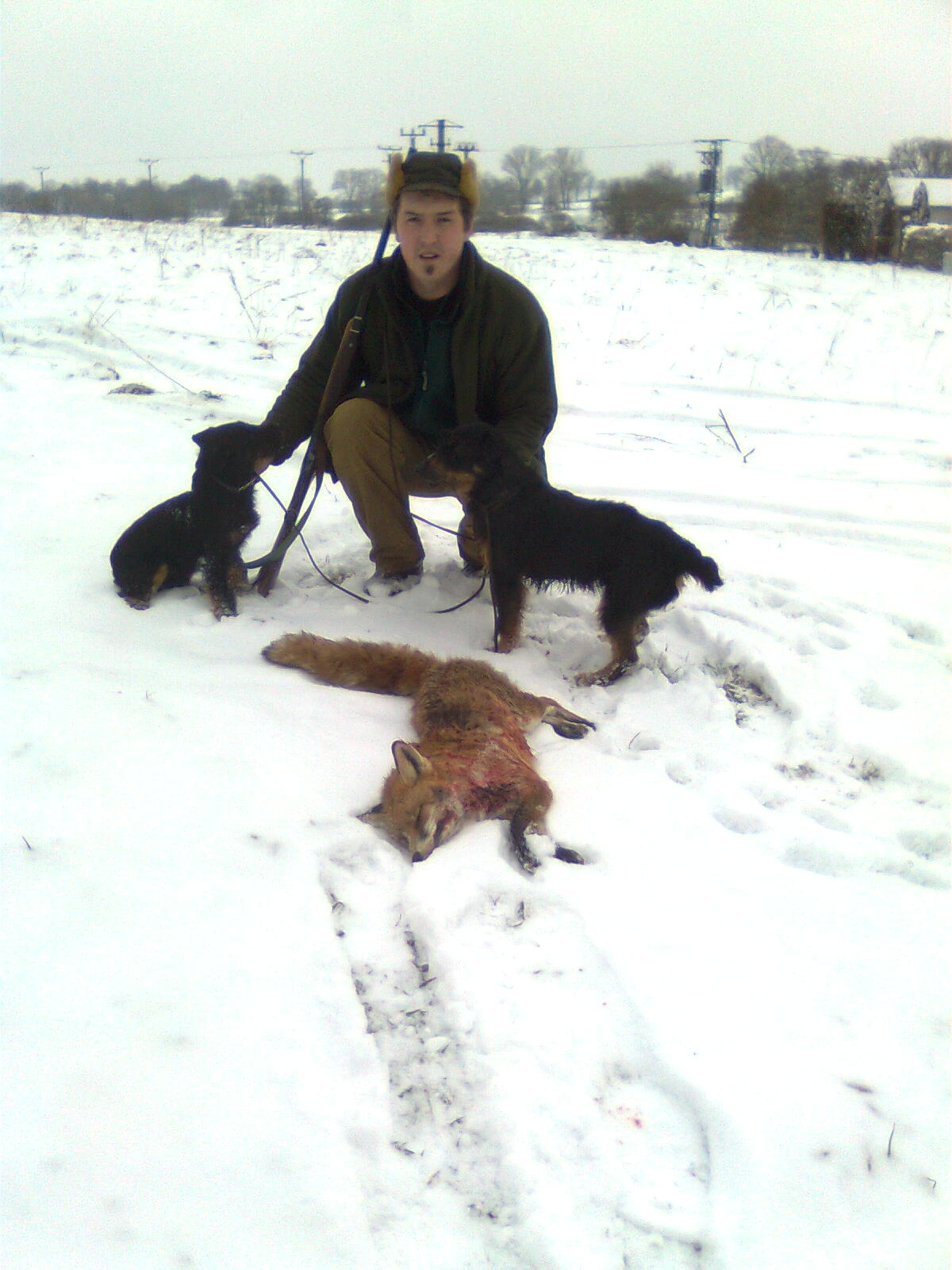 Liška z Pěšinek 20.2.