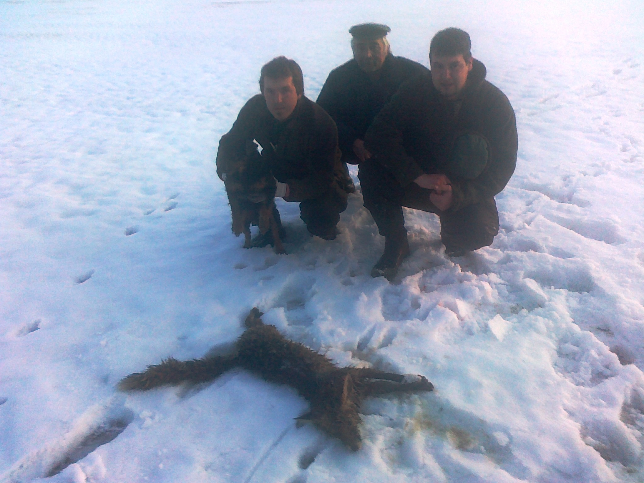 Norování Vlásenice