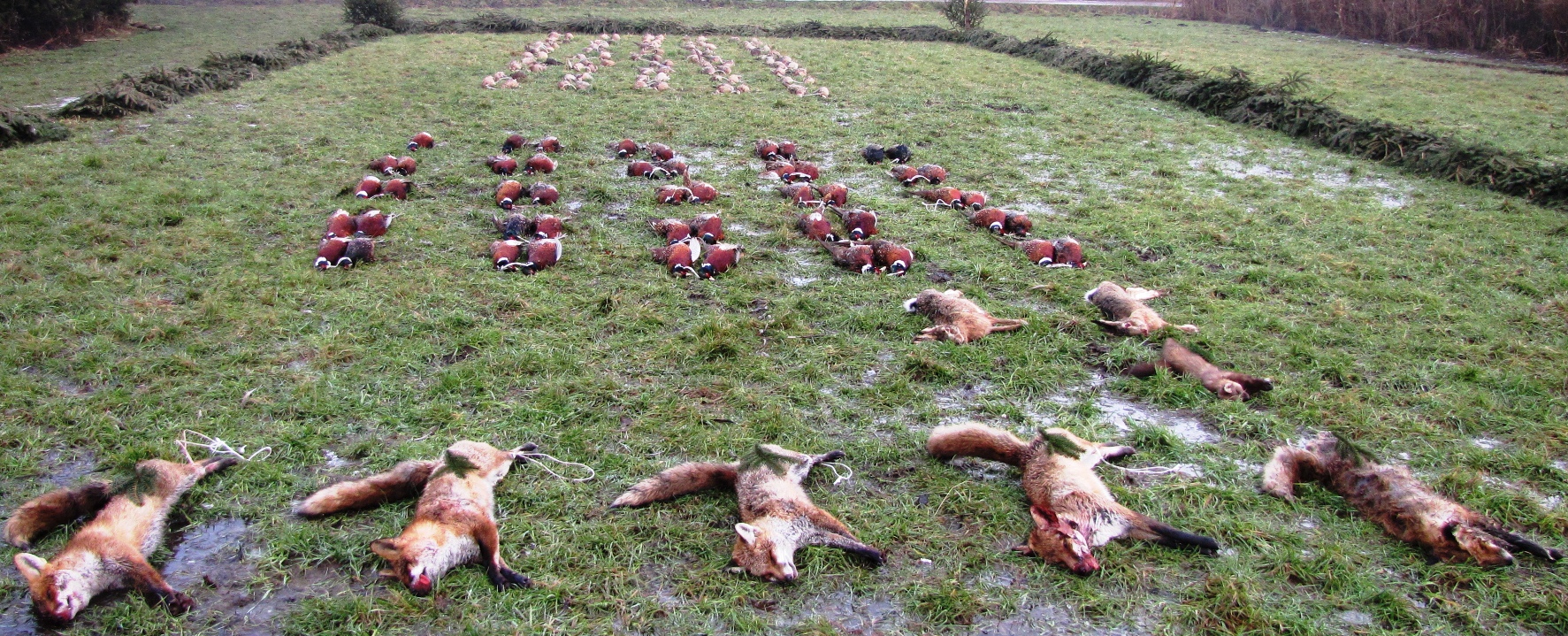 výřad Černiš 18.12.2012