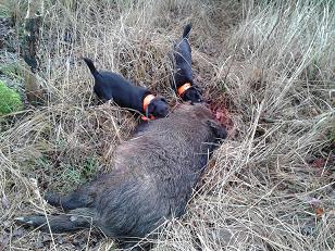 Schwanzenberg 12.12.14