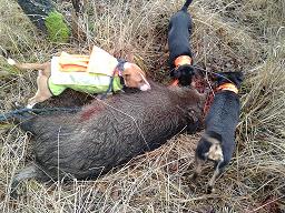 Schwanzenberg 12.12.