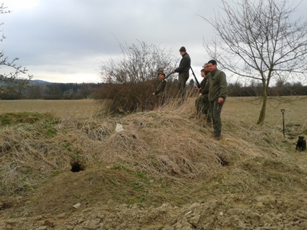 Norování na Netušilu