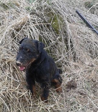 Norování na Netušilu (2)