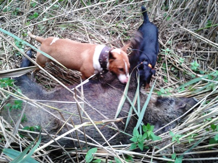 Dosled po večerní čekané