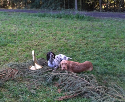 Asta a Jessi výřad