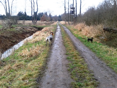 Klepačka na lišky Černiš