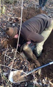 received_658760817629234