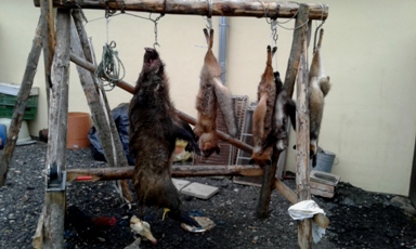 nedělní dopoledne 5.11.