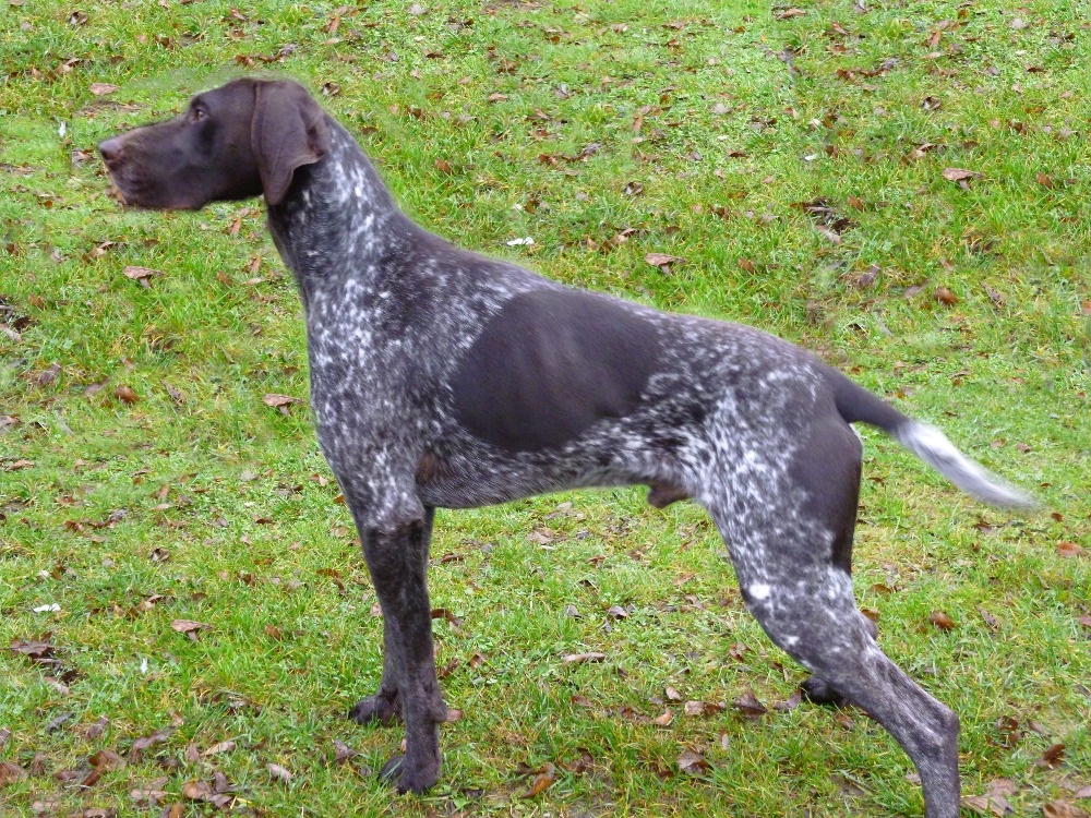 O: Bred z Višňové