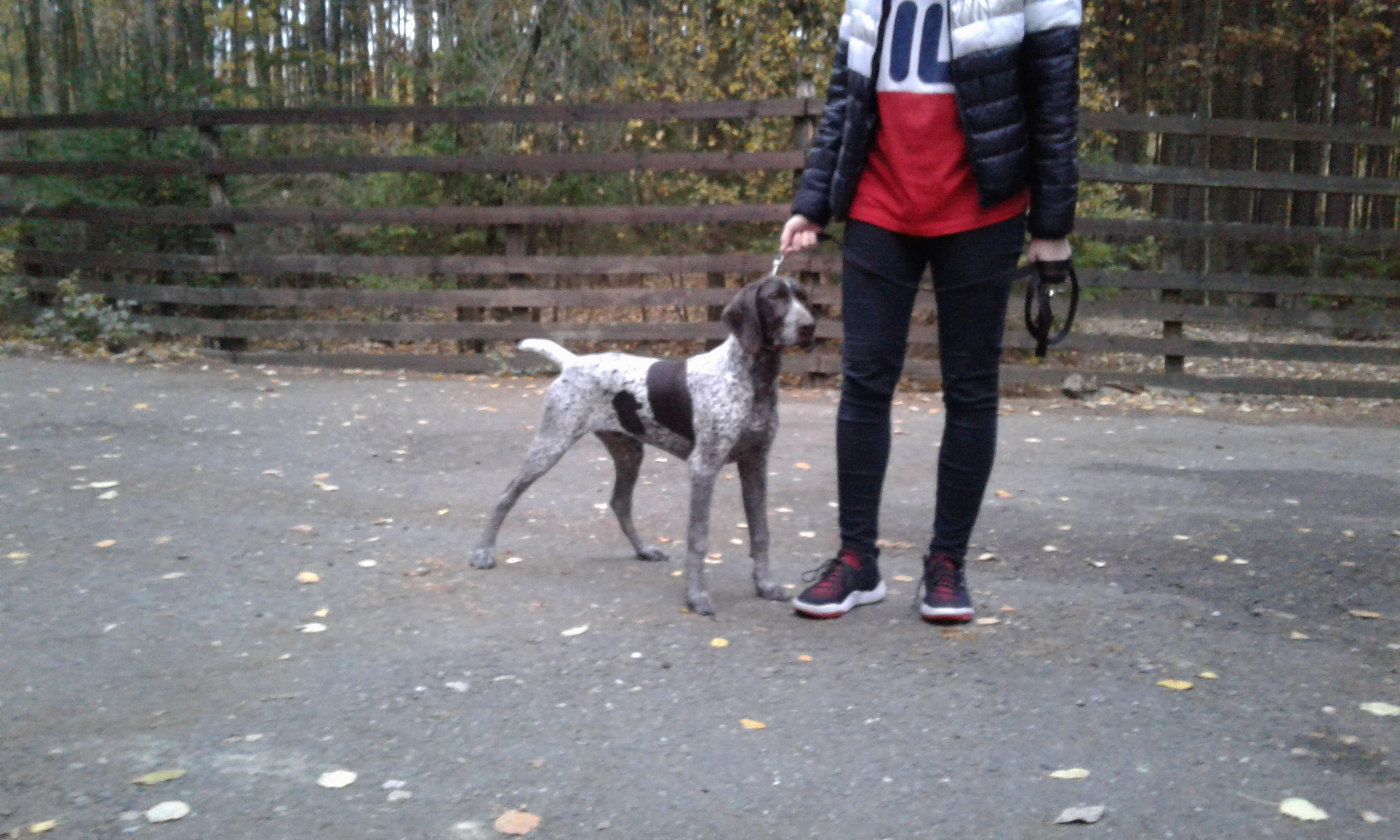 Cvak z Jistebnické vinice